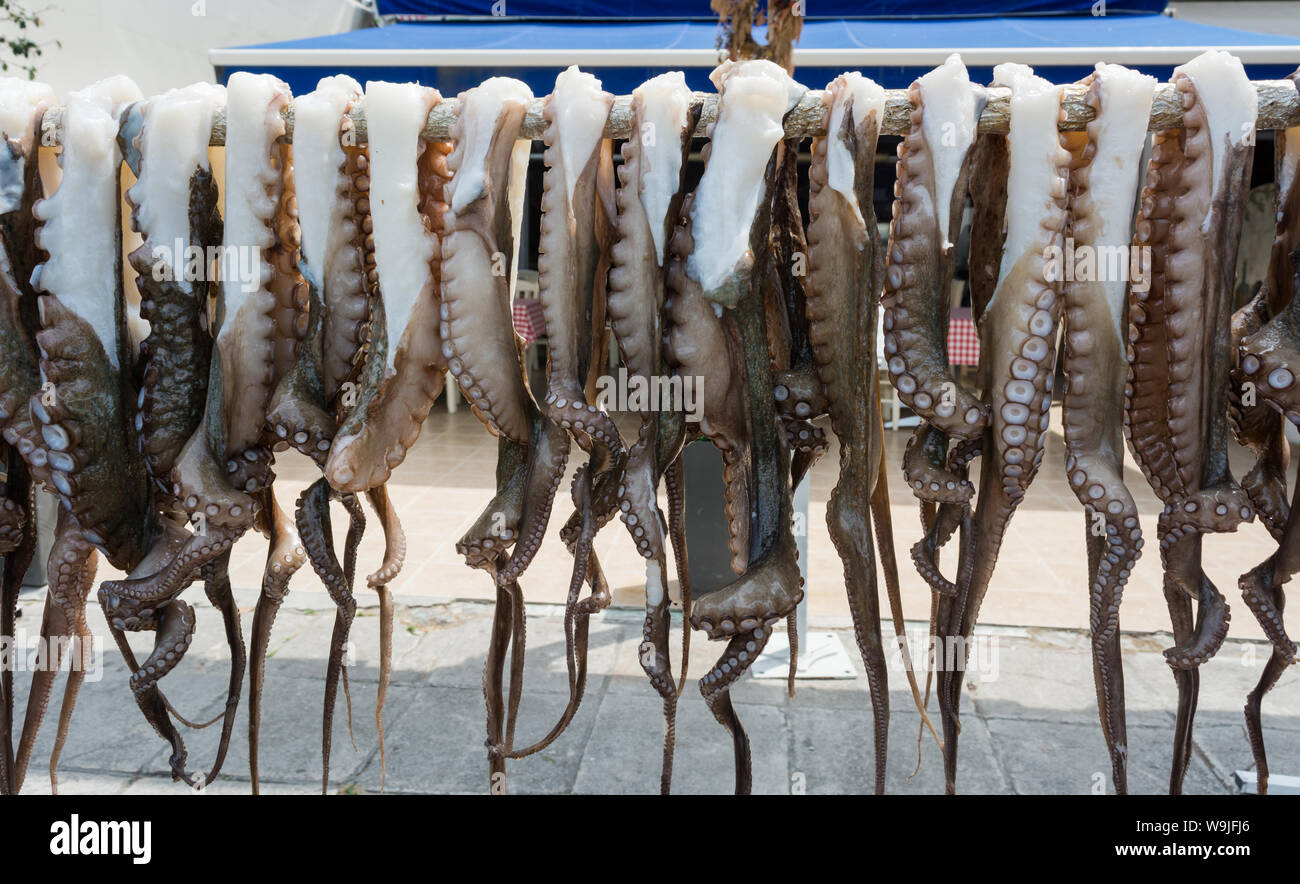 Ideal Intervenir Nutrición Montón de pulpos para venta en un mercado de pesca Fotografía de stock -  Alamy
