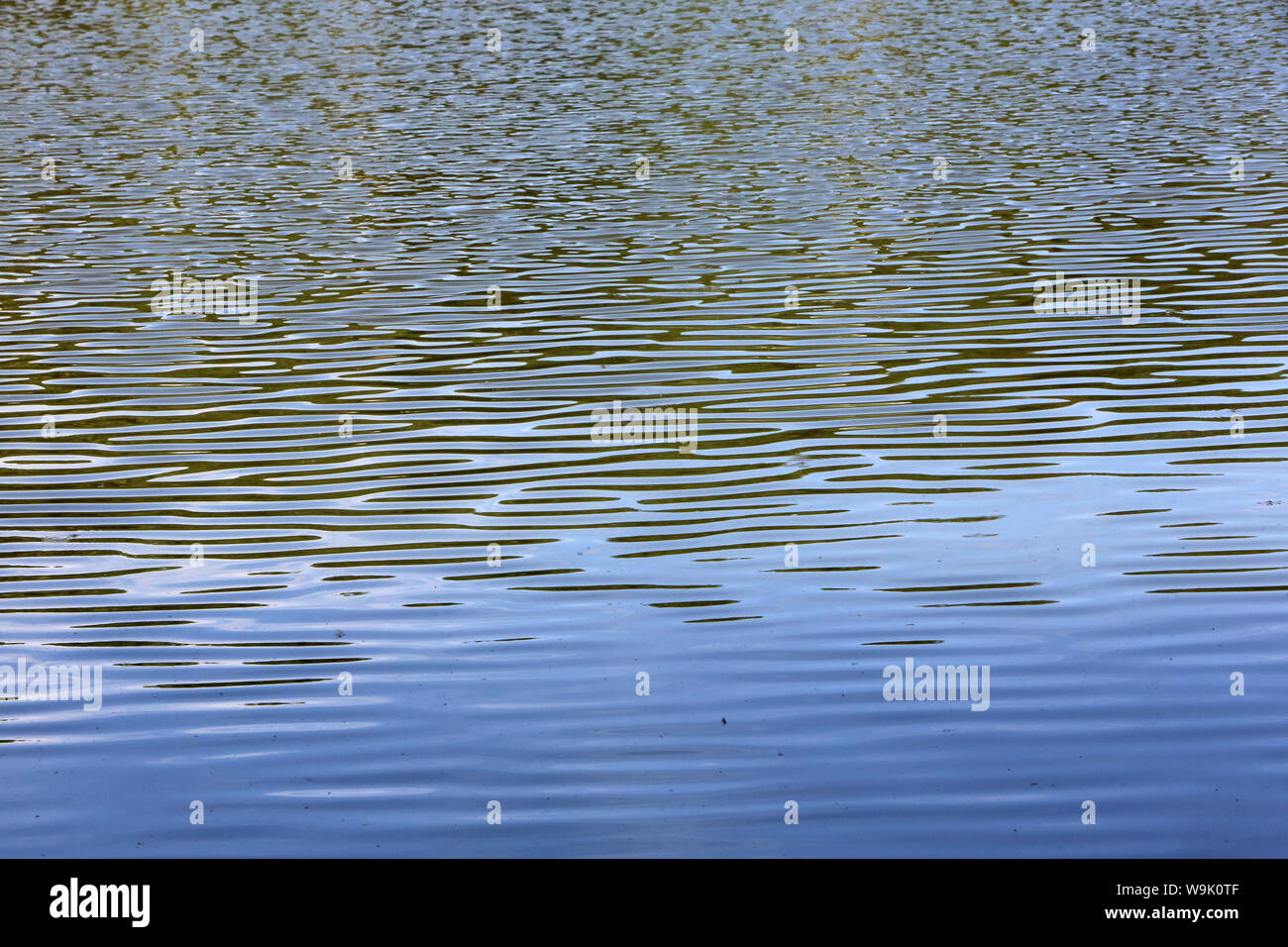 Plan d'eau. Etang. En Ville d'Avray. / Cuerpo de agua. Estanque. En