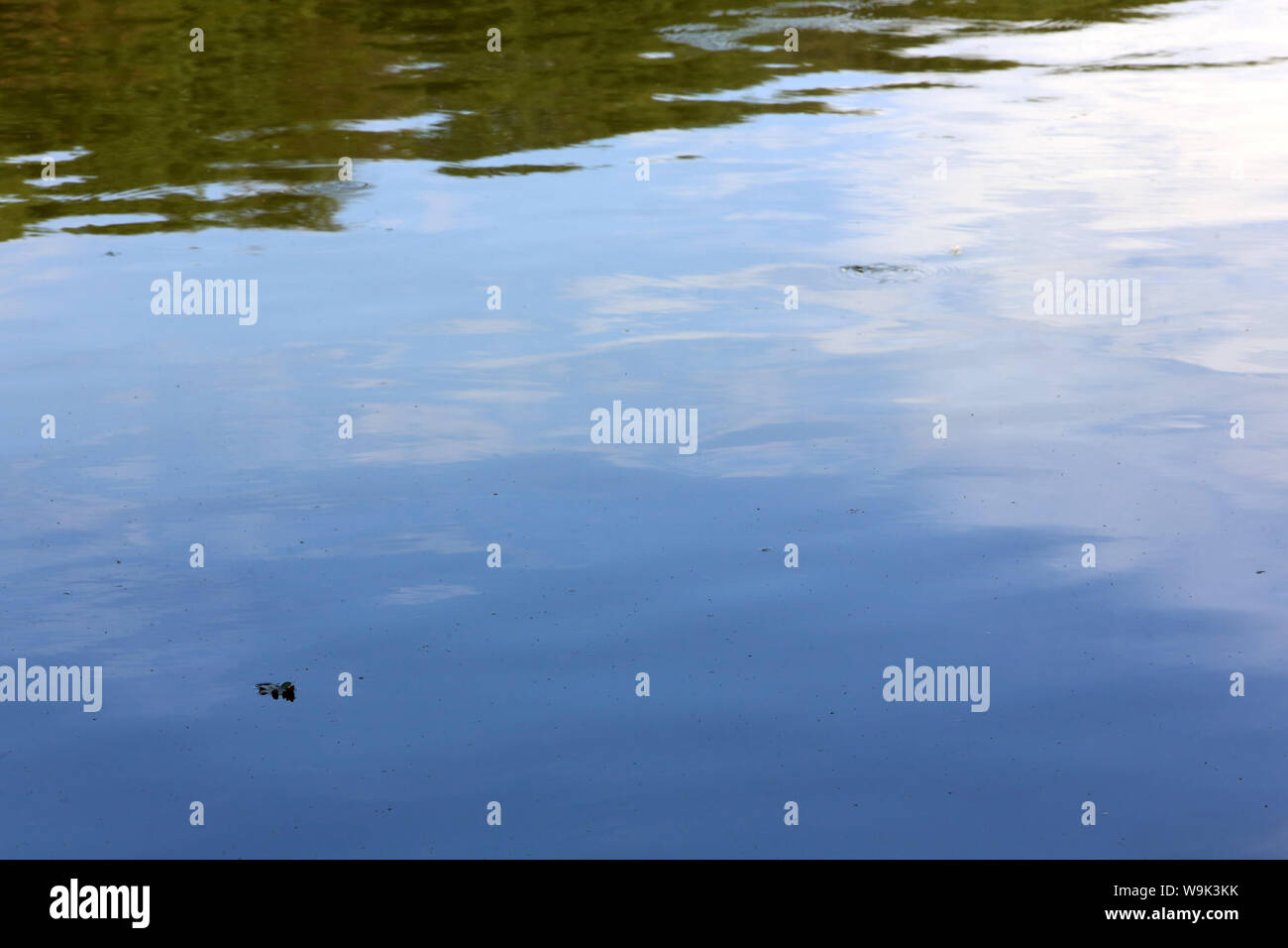 Plan d'eau. Etang. En Ville d'Avray. / Cuerpo de agua. Estanque. En