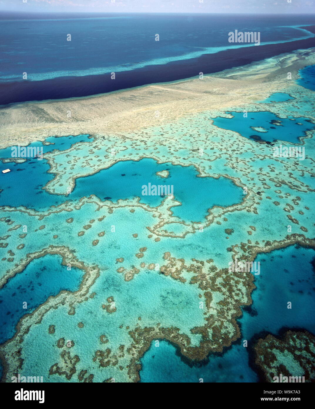 La Gran Barrera de Coral, Patrimonio de la Humanidad de la UNESCO, Queensland, Australia, el Pacífico Foto de stock