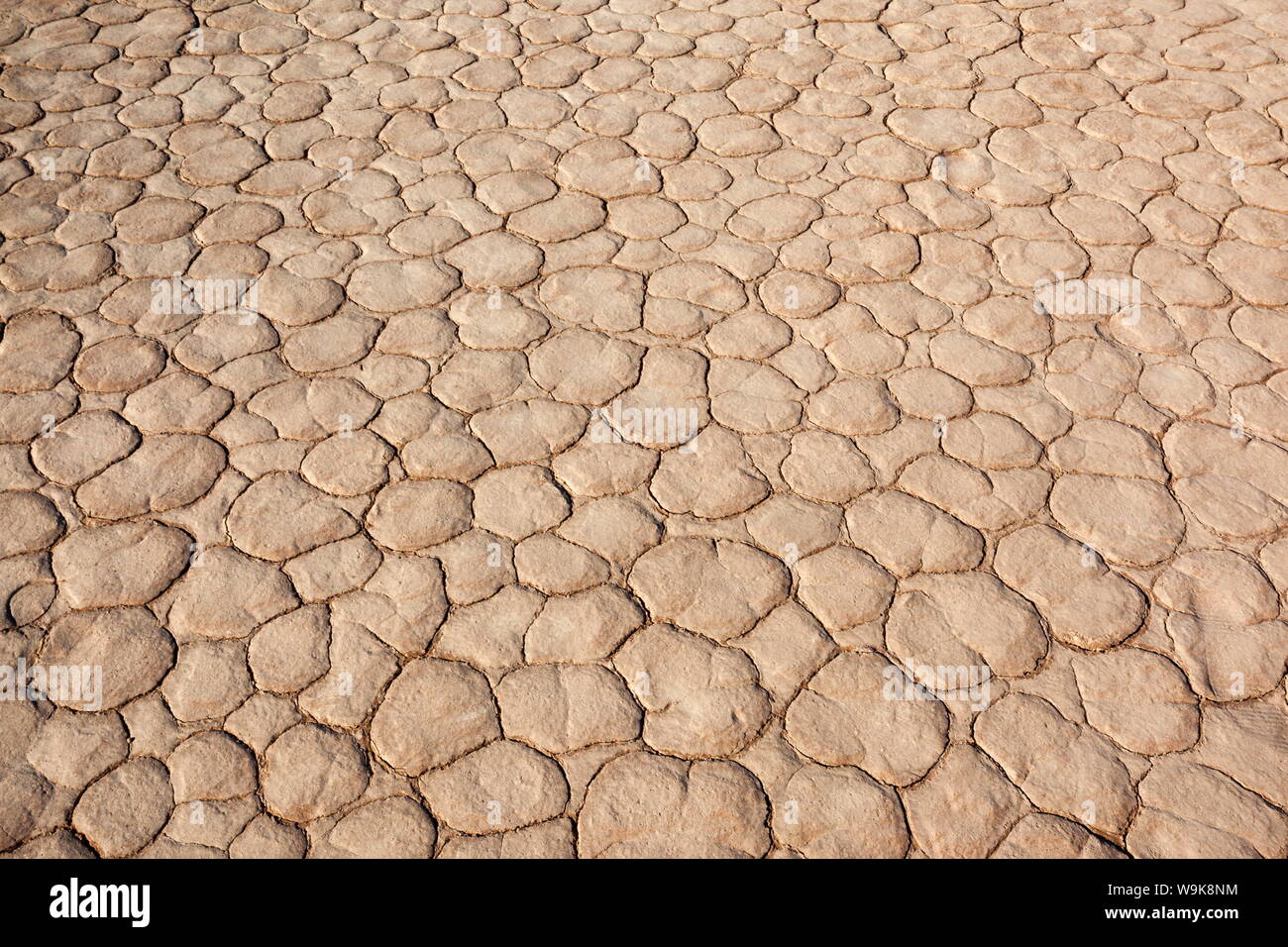 Barro seco, Dead Vlei, el desierto de Namib, Namibia, abril de 2013 Foto de stock