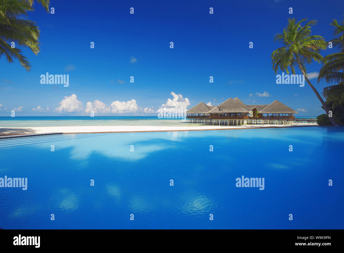 Piscina, palmeras y cabañas de playa, Maldivas, Océano Índico, Asia Foto de stock