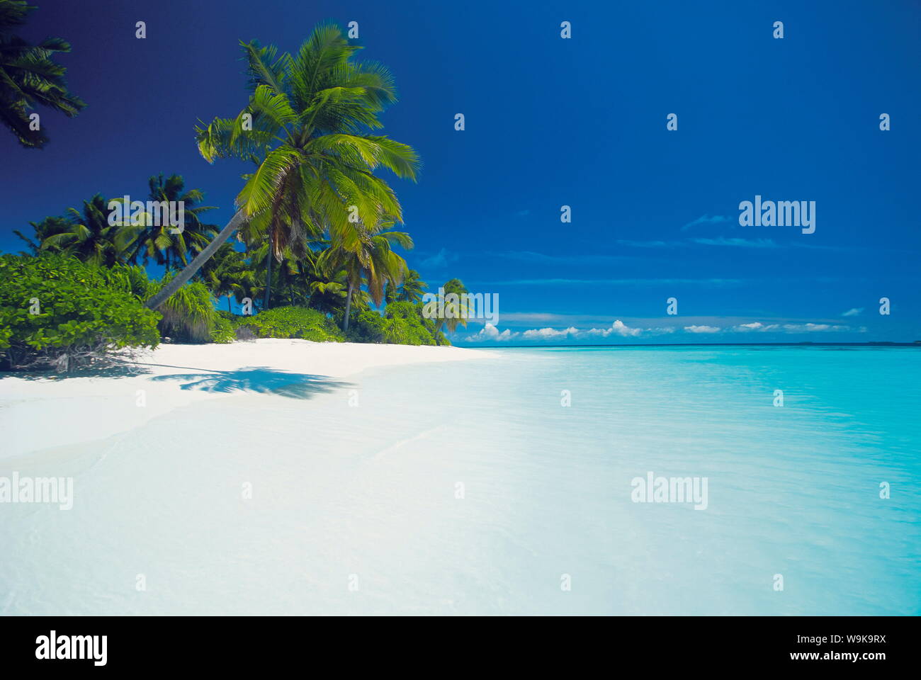 Isla y laguna, Maldivas, Océano Índico, Asia Foto de stock