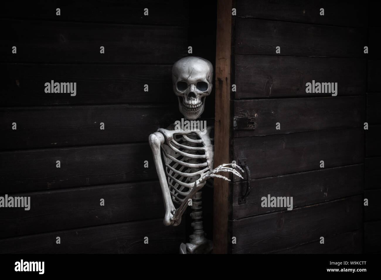 Esqueleto contestar la puerta de una vieja casa de madera Fotografía de  stock - Alamy
