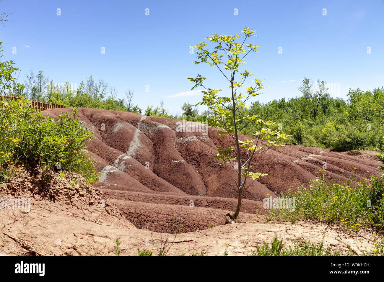 La Cheltenham Badlands en Caledon en verano, Ontario, Canadá. "Badlands" es un término geológico de un área de la roca blanda desprovisto de vegetación y suelo co Foto de stock