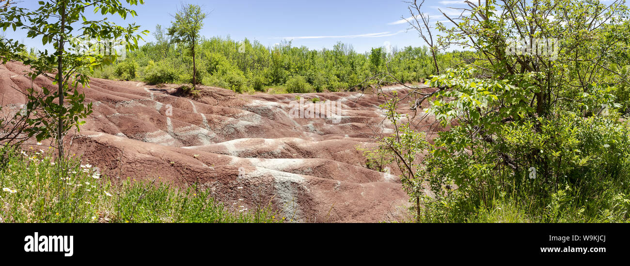 La Cheltenham Badlands en Caledon en verano, Ontario, Canadá. "Badlands" es un término geológico de un área de la roca blanda desprovisto de vegetación y suelo co Foto de stock