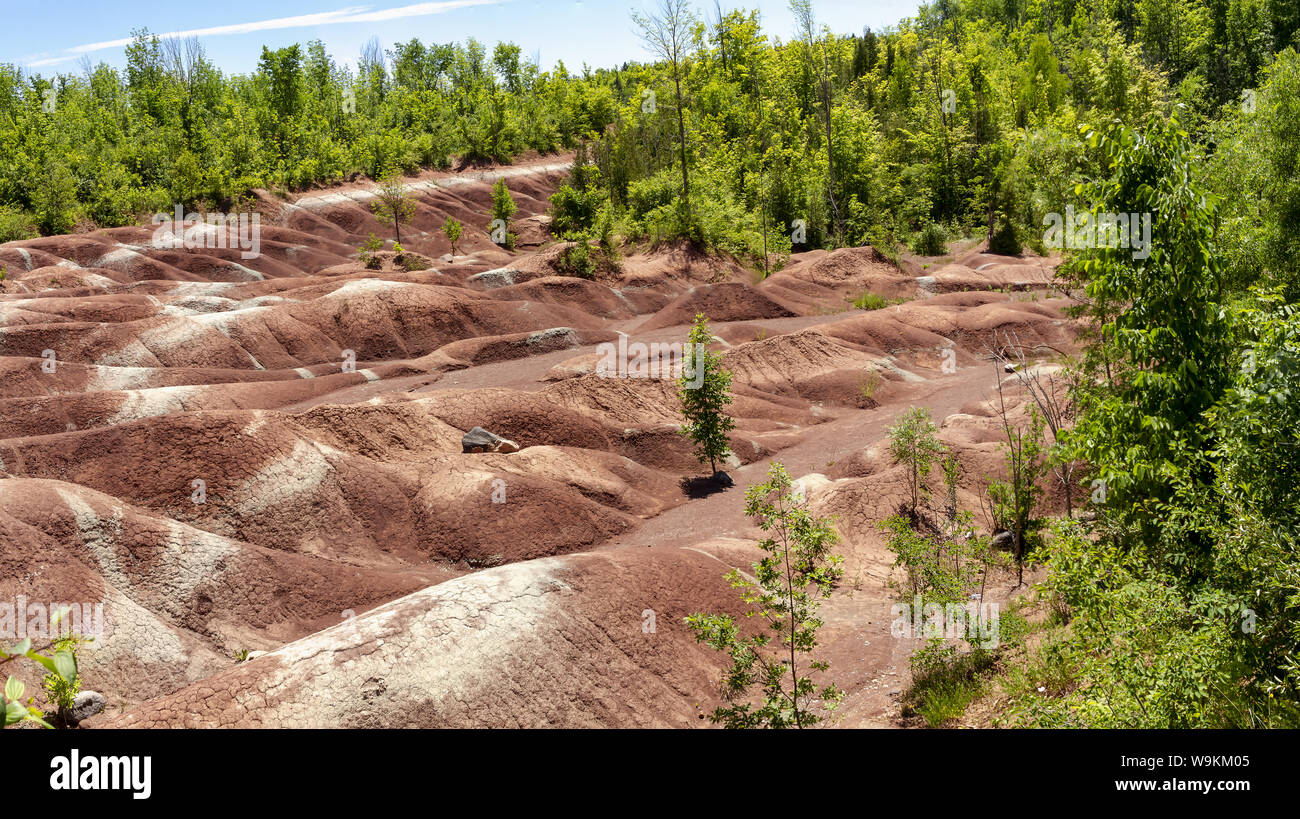 La Cheltenham Badlands en Caledon en verano, Ontario, Canadá. "Badlands" es un término geológico de un área de la roca blanda desprovisto de vegetación y suelo co Foto de stock