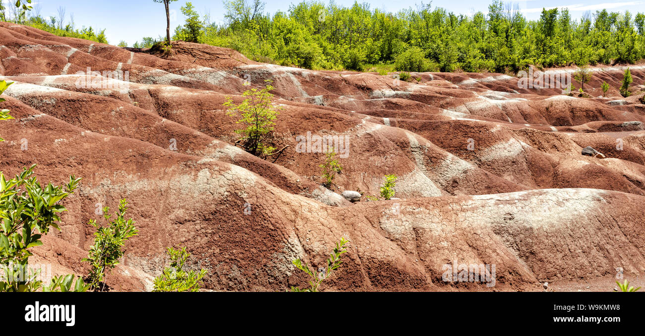La Cheltenham Badlands en Caledon en verano, Ontario, Canadá. "Badlands" es un término geológico de un área de la roca blanda desprovisto de vegetación y suelo co Foto de stock