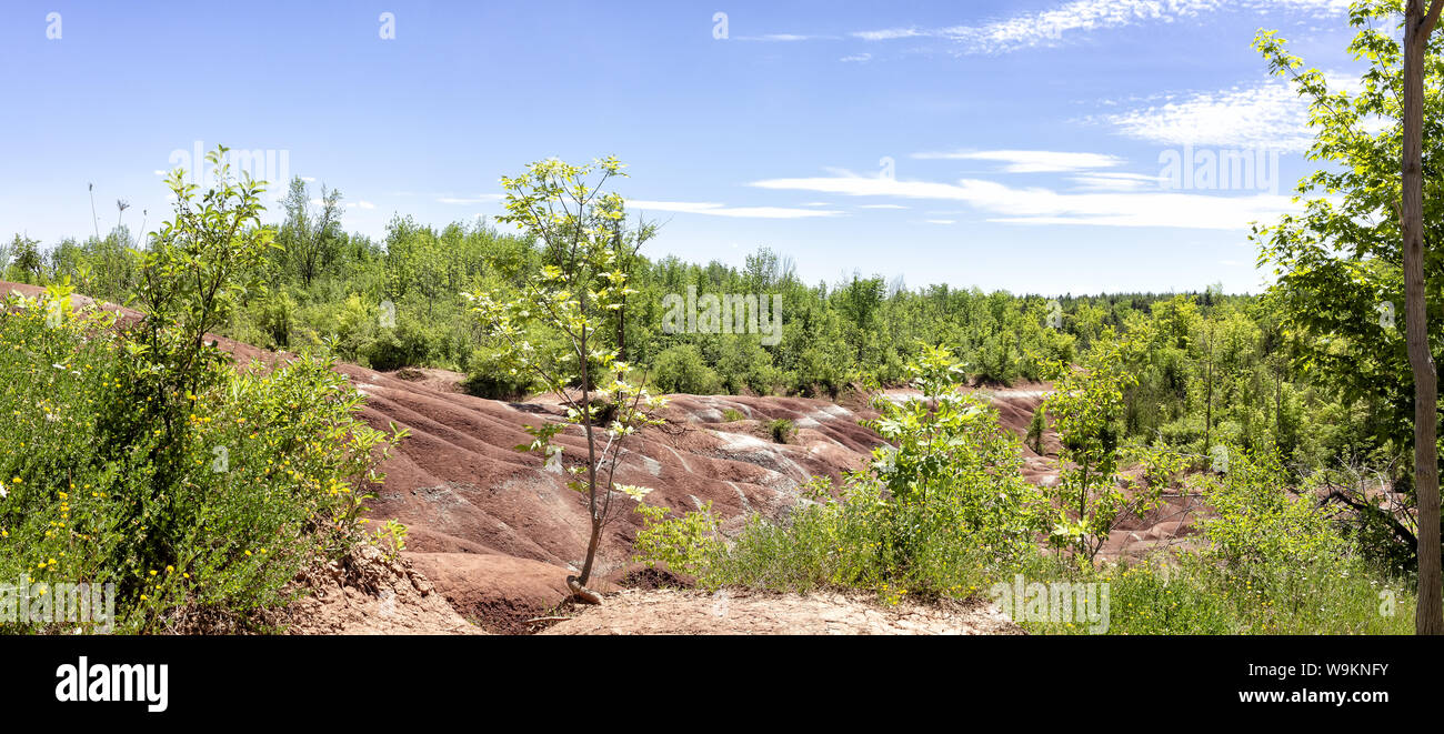 La Cheltenham Badlands en Caledon en verano, Ontario, Canadá. "Badlands" es un término geológico de un área de la roca blanda desprovisto de vegetación y suelo co Foto de stock