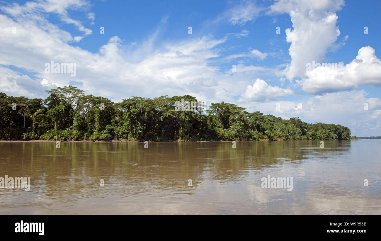 Vista del río Napo en la selva ecuatoriana Foto de stock
