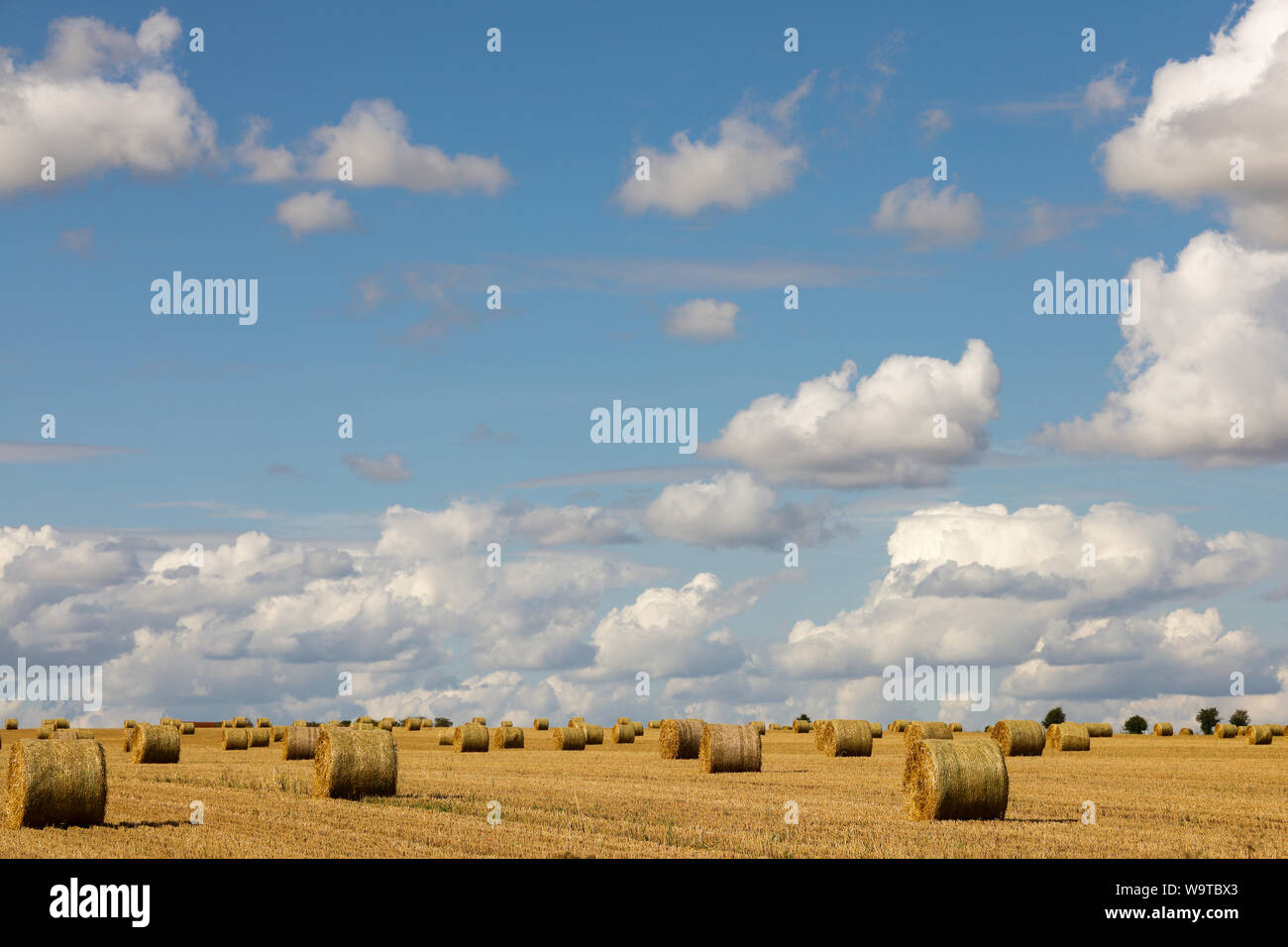 Tiempo de cosecha - Los fardos de heno de pie en un campo en un hermoso día de verano con cielos azules y nubes Foto de stock