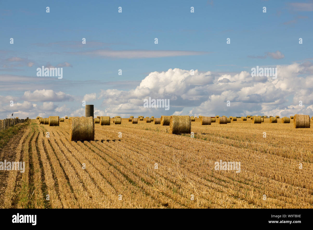 Tiempo de cosecha - Los fardos de heno de pie en un campo en un hermoso día de verano con cielos azules y nubes Foto de stock