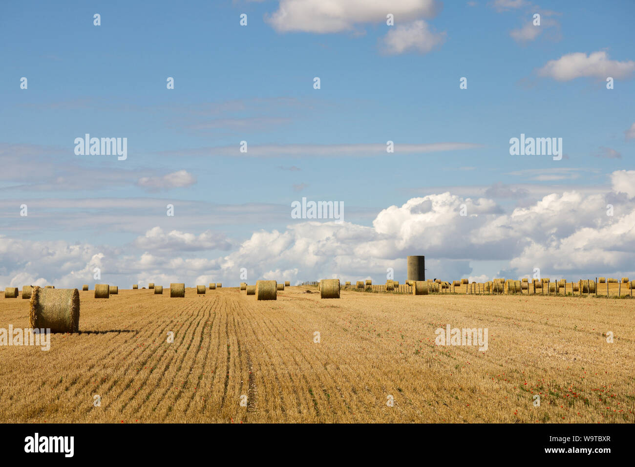 Tiempo de cosecha - Los fardos de heno de pie en un campo en un hermoso día de verano con cielos azules y nubes Foto de stock