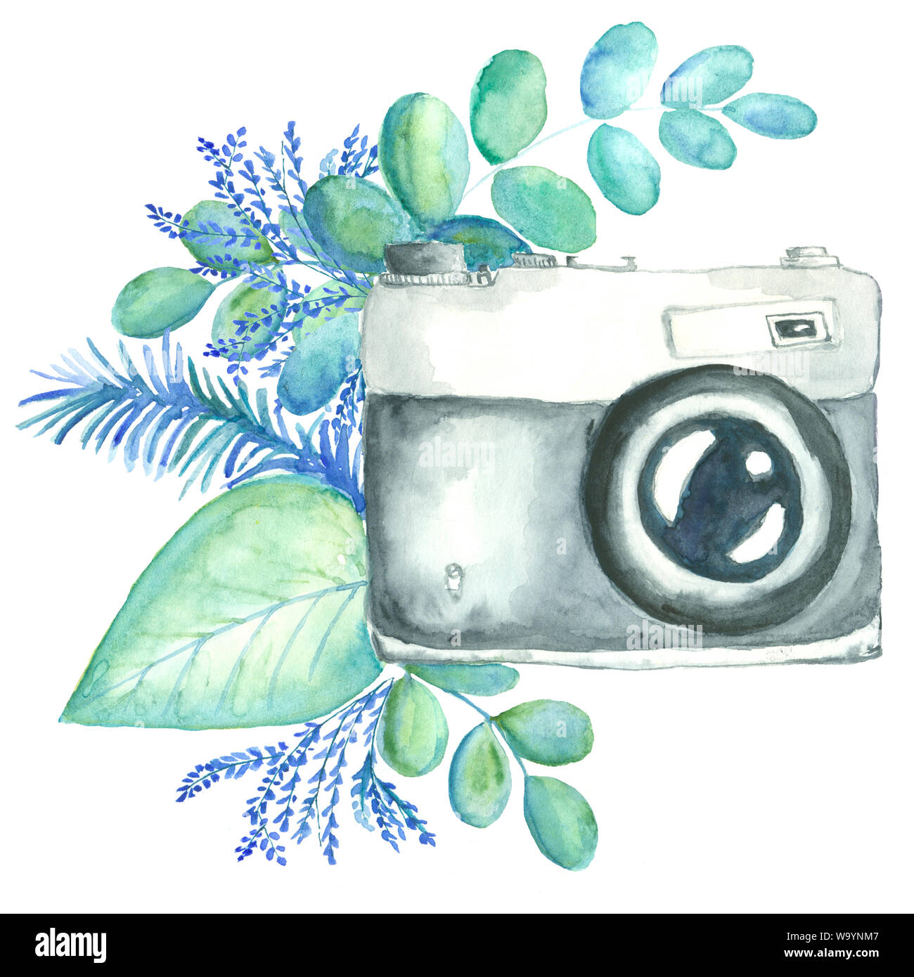 Acuarela cámara retro con variedad plantas y sobre fondo blanco Fotografía de stock Alamy