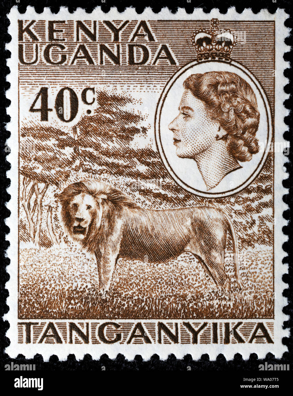 León, Panthera leo, el sello, el África Oriental Británica, Kenya, Uganda, Tanganyka, 1958 Foto de stock