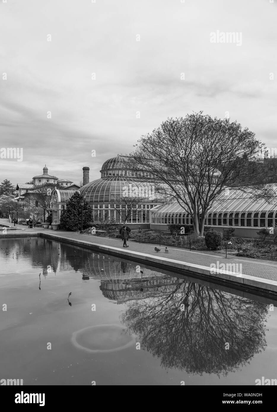 Una fotografía en blanco y negro del Brooklyn Botanic Garden. Foto de stock