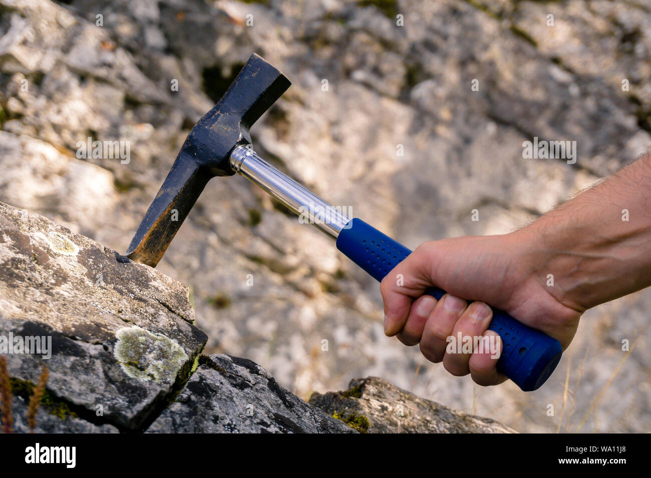 La mano del geólogo golpea una piedra caliza mossy rock con un martillo  geológico para tomar una muestra Fotografía de stock - Alamy