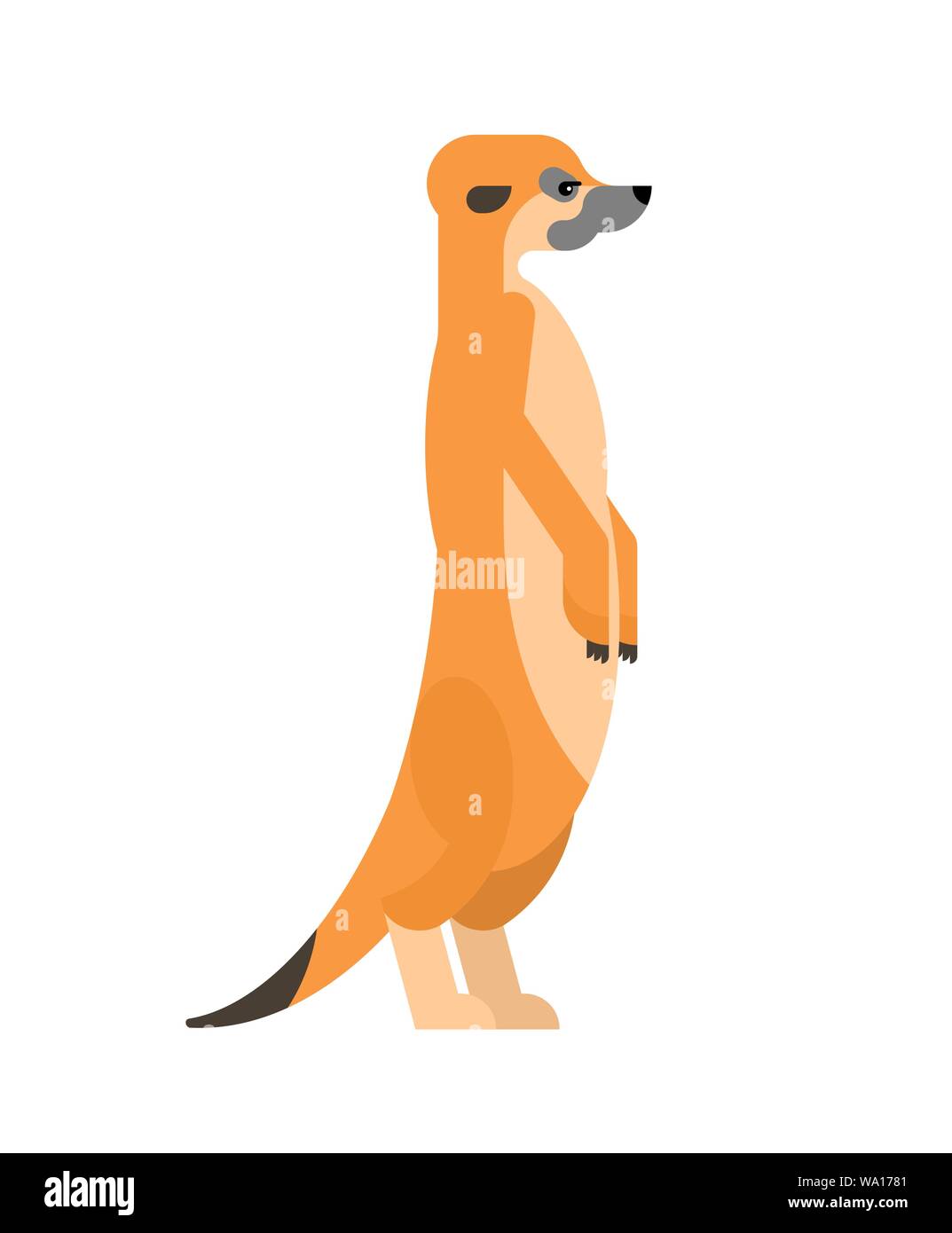 Aislados suricata o dibujos animados. Mangosta pequeña ilustración  vectorial Imagen Vector de stock - Alamy
