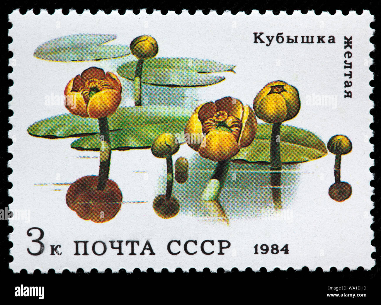 Nuphar lutea, lirio de agua amarilla, brandy-botella, flores acuáticas, sello, Rusia, URSS, 1984 Foto de stock