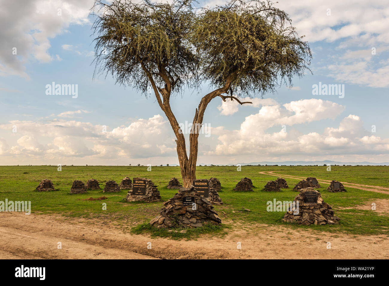 Ol Pejeta Conservancy, condado de Laikipia, Kenya - Junio 12th, 2019: Paisaje fotografía de un rinoceronte monumento que honra la vida de todos los Ol Pejeta Foto de stock