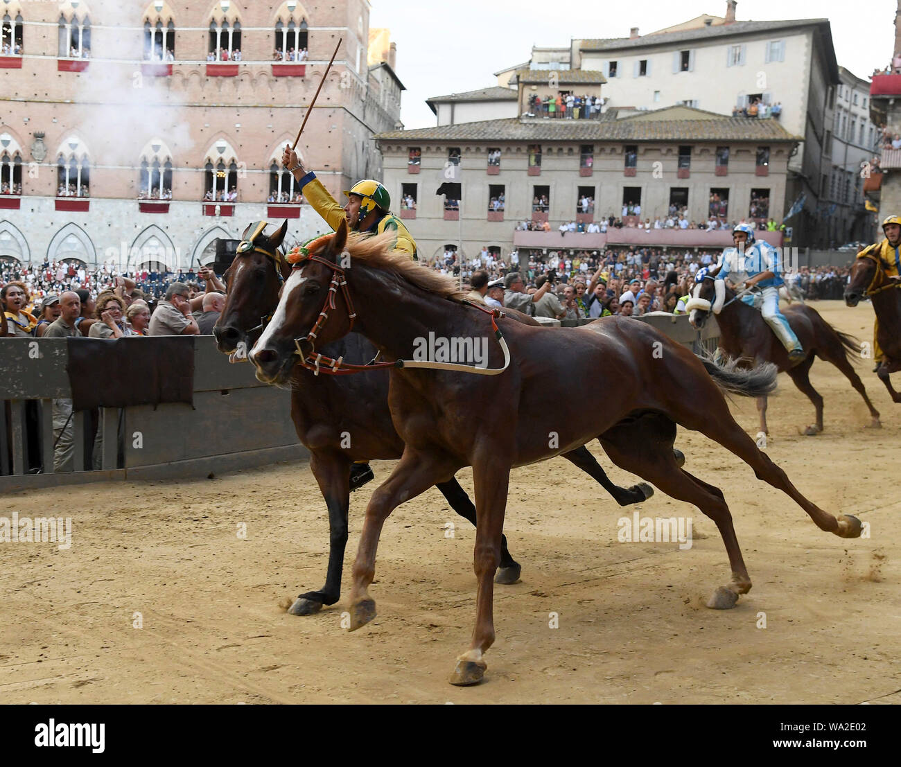 Siena, Italia. 16 Aug, 2019. Caballo Remorex (frontal) de la 'selva'  (barrio) Bosque compite sin su jinete como él gana el histórico Palio de  Siena, carrera de caballos en Siena, Italia, agosto