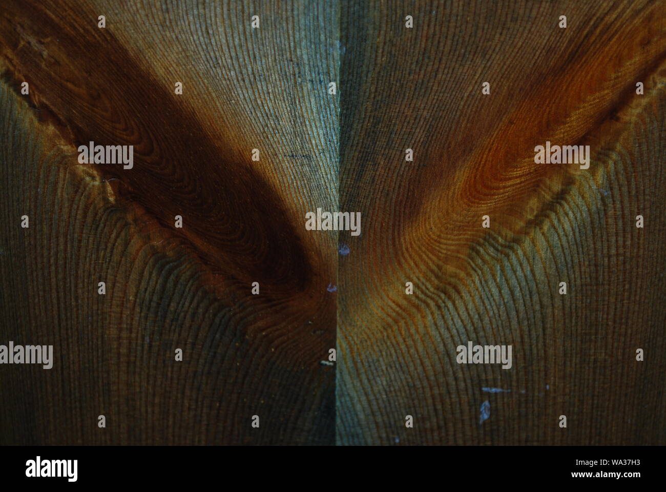 Vetas de la madera Foto de stock