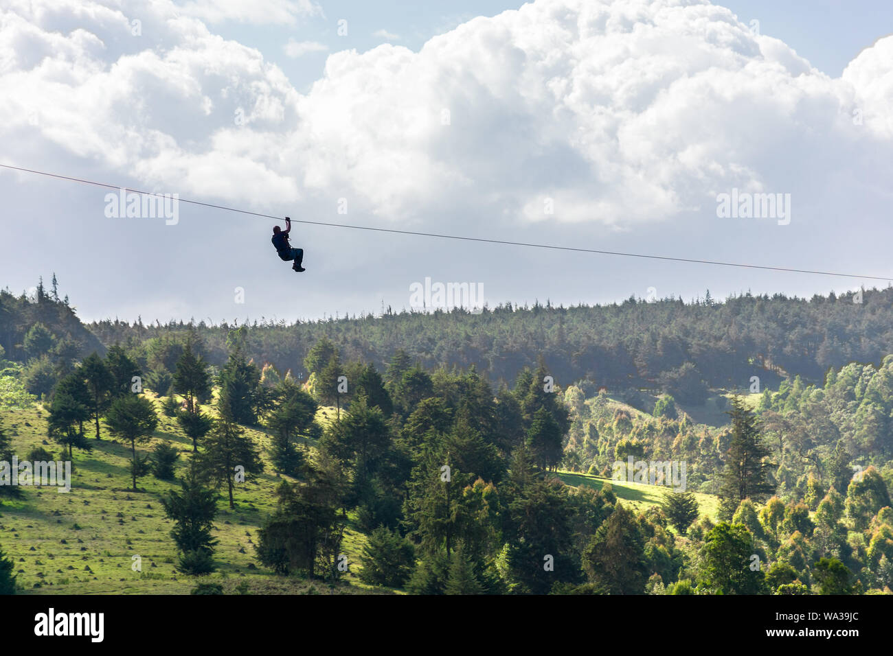 Un hombre viaja en un zip line en el bosque en el centro de recreación, Kenya Foto de stock