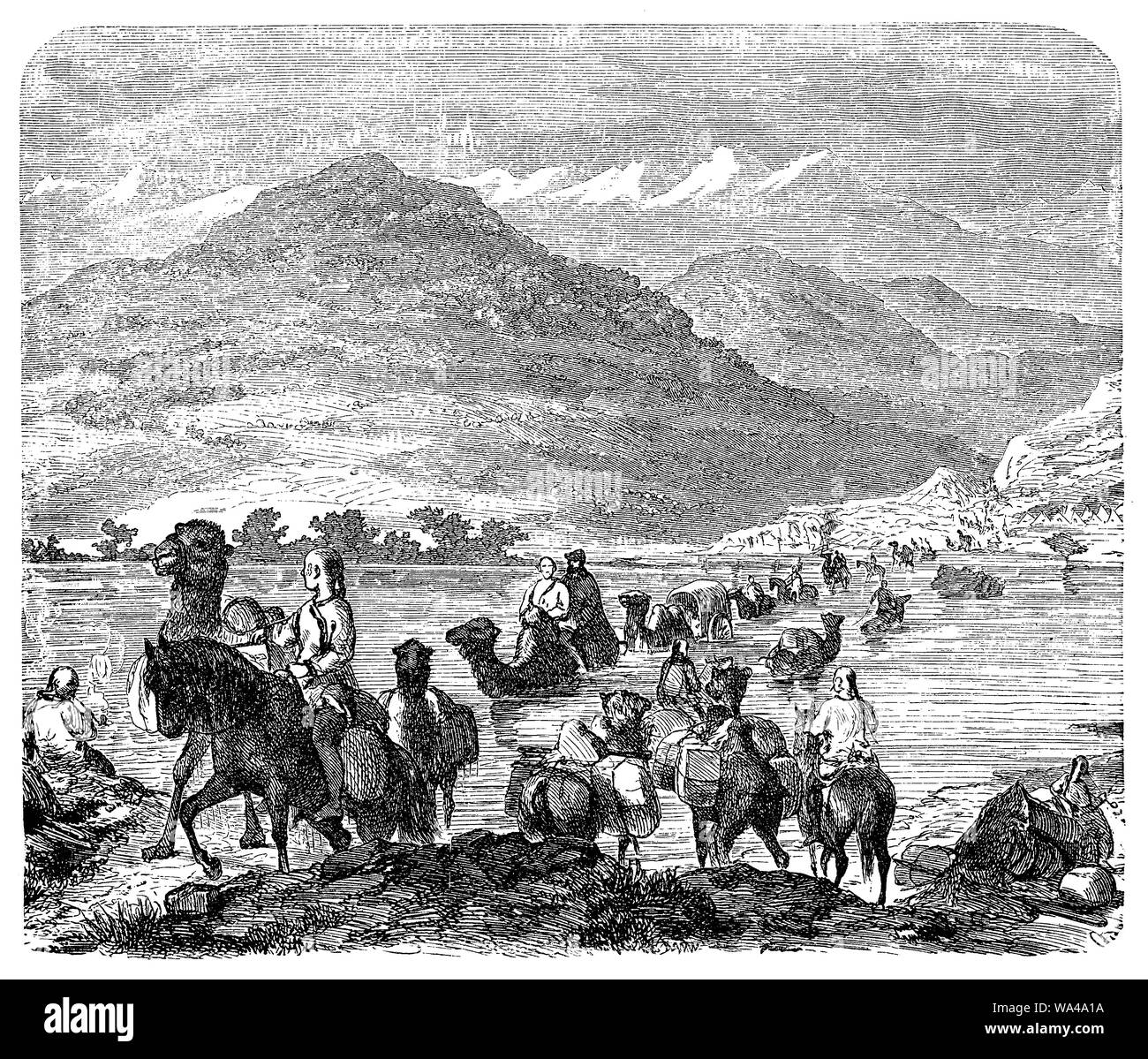 Caravana de camellos atravesando un río en Mongolia Foto de stock