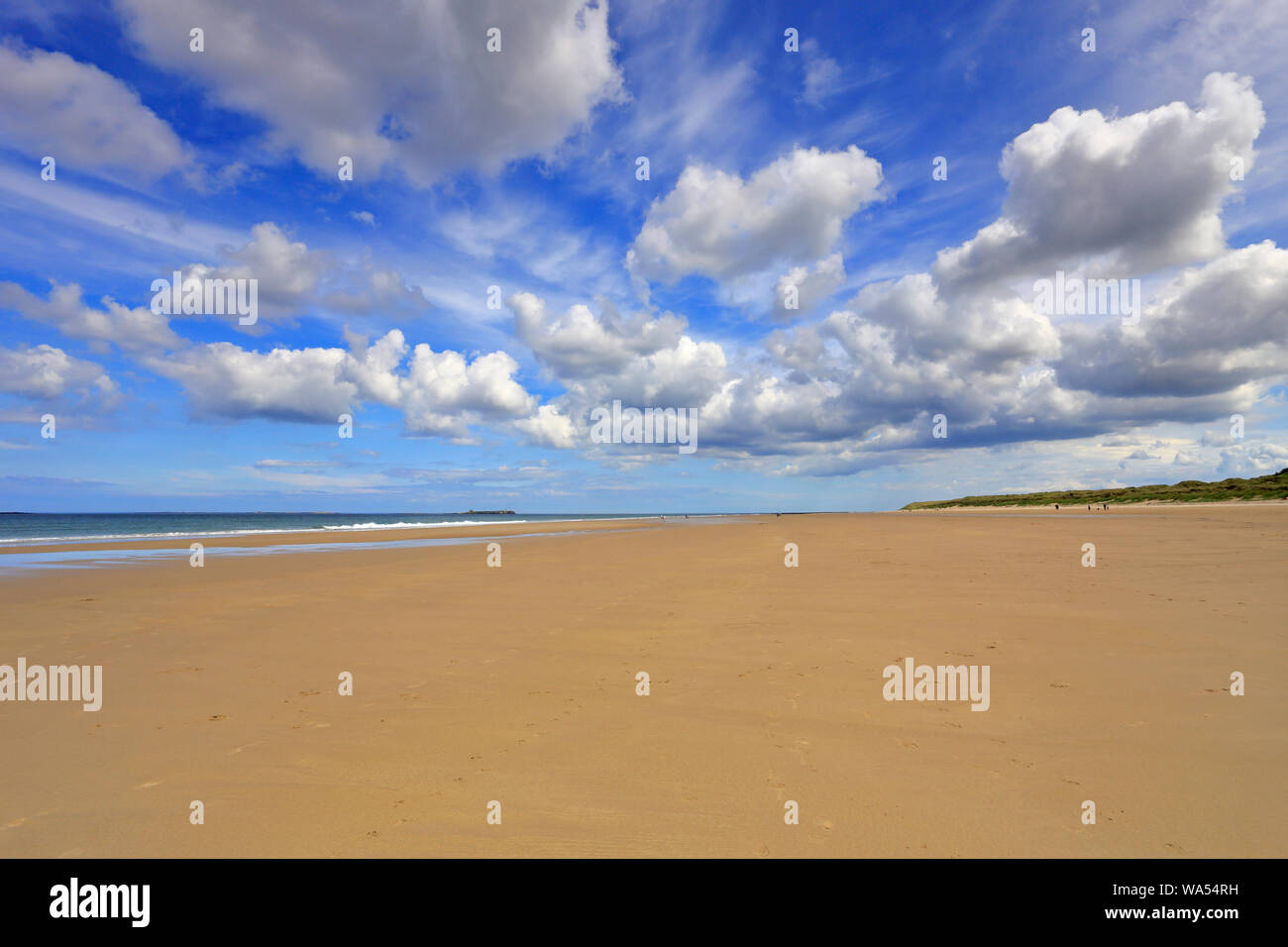 Bamburgh beach, un gran cielo de cúmulos y una extensión de playa arenosa desde fuera de la ruta costera de Northumberland, Bamburgh, Northumberland, Inglaterra. Foto de stock