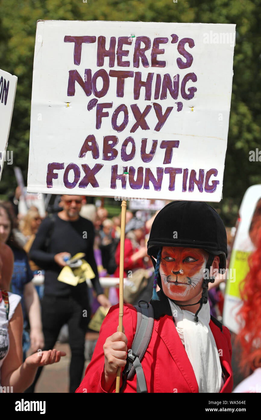 Londres, Reino Unido. 17 de agosto de 2019. Los manifestantes en el oficial de los derechos de los animales marzo desfilando por Londres es un vegano anual marzo protestando por el trato a los animales y organizado por bombeo. Crédito: Paul Brown/Alamy Live News Foto de stock