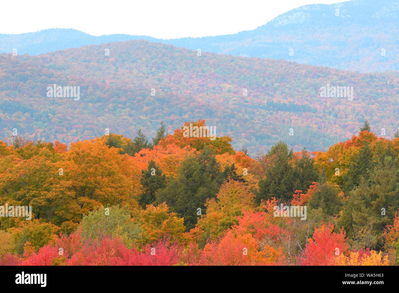 Colores de otoño son un resplandor en Waitsfield, Vermont durante el pico de follaje en el otoño. Foto de stock
