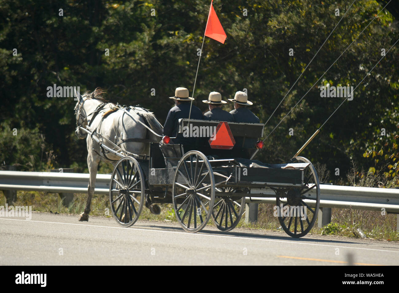 Un carro lleva a un grupo de hombres Amish como hacen su camino por las calles de Georgia. Foto de stock