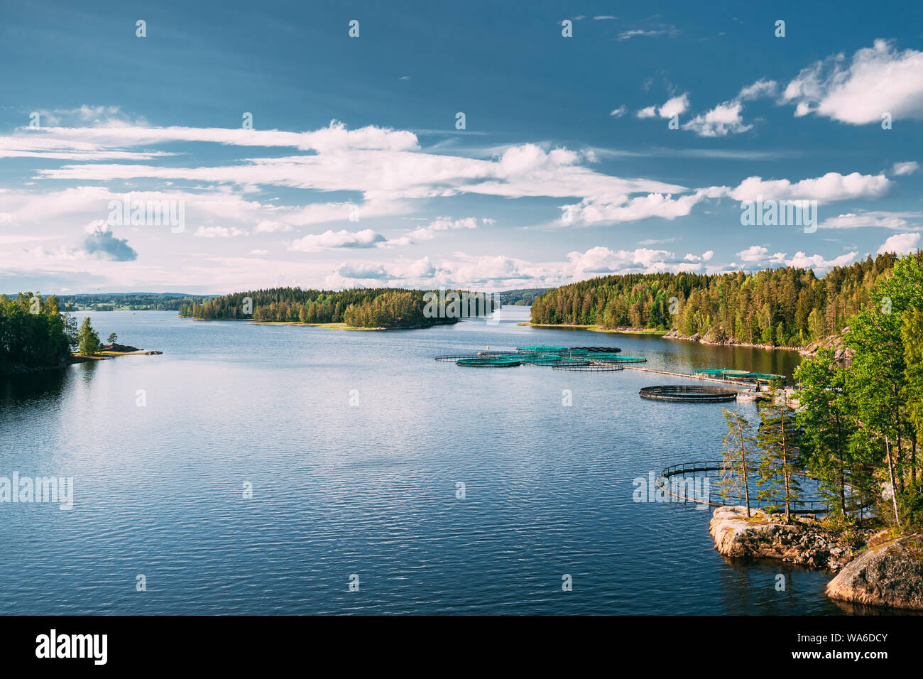 La pesca, la explotación piscícola en verano el lago o río en un hermoso día soleado de verano. La naturaleza sueca, Suecia. Foto de stock