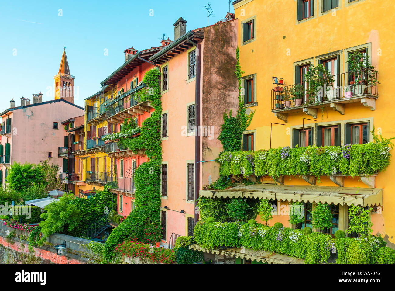 Los coloridos edificios con balcón verde en la antigua calle de Verona, Región de Véneto, Italia, Europa Foto de stock