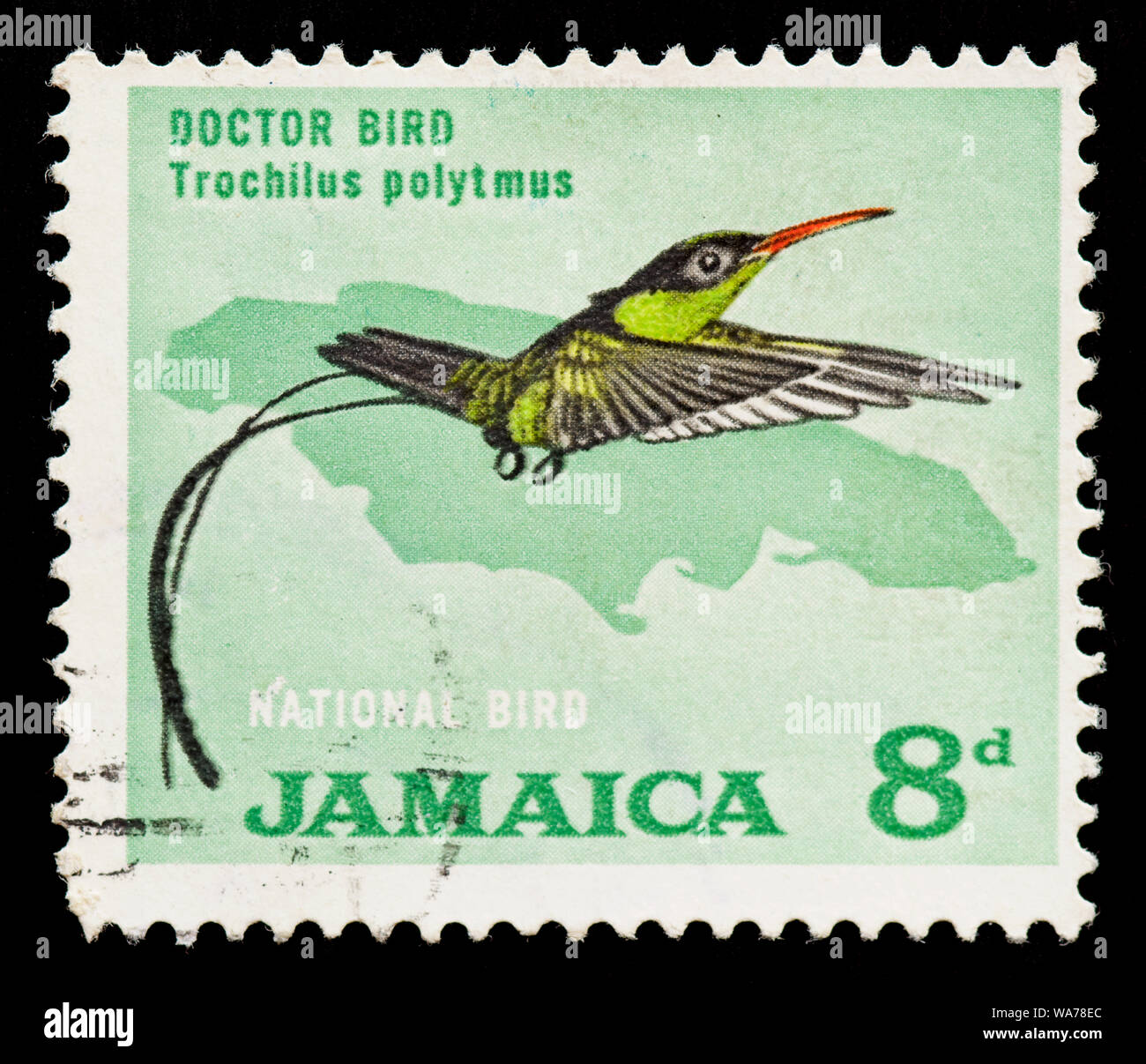 Ave nacional de jamaica fotografías e imágenes de alta resolución Alamy