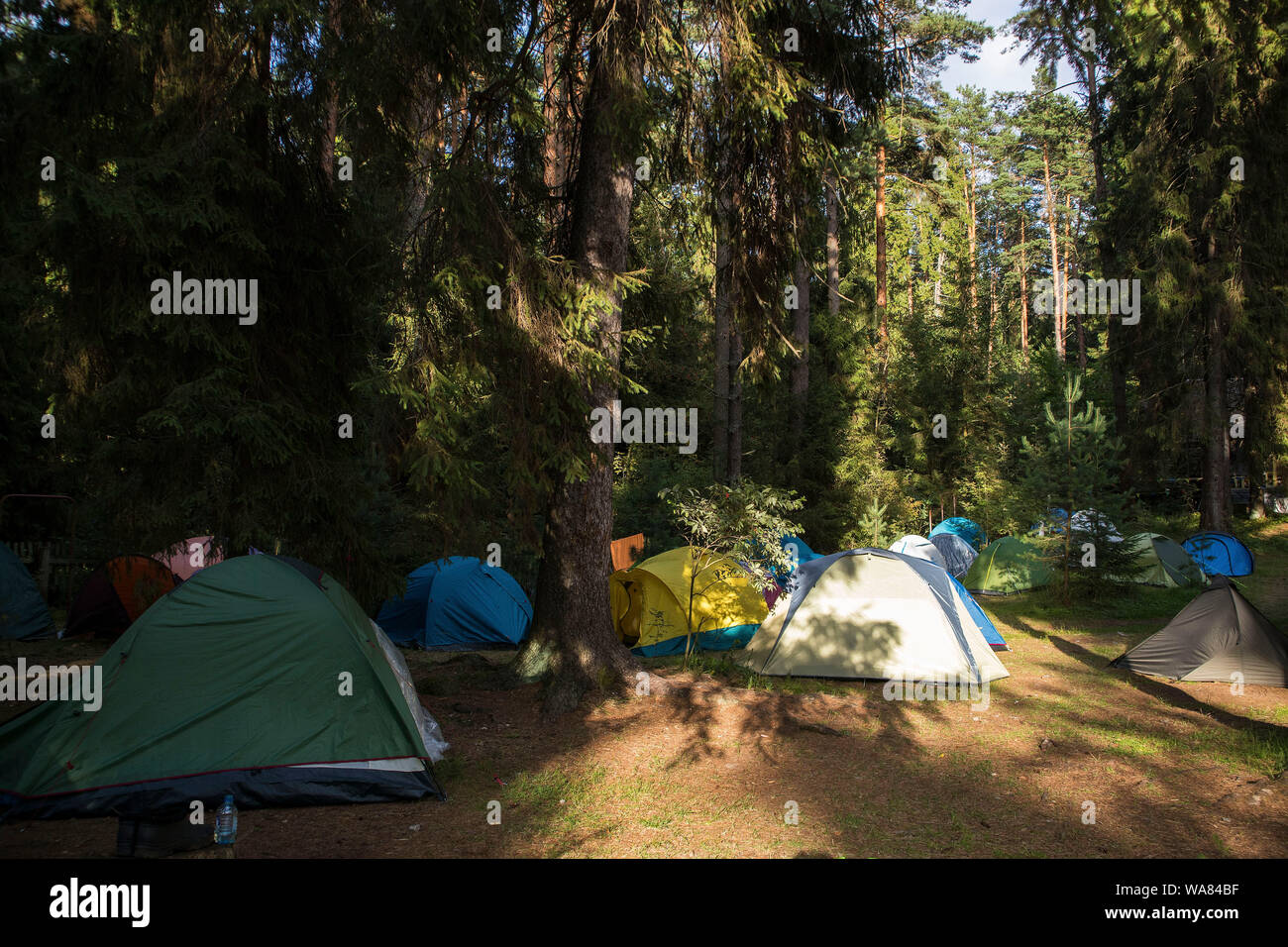 Camping en el bosque en el lago. Coloridas carpas en la naturaleza. Camping.  Close-up. Antecedentes. Paisaje Fotografía de stock - Alamy