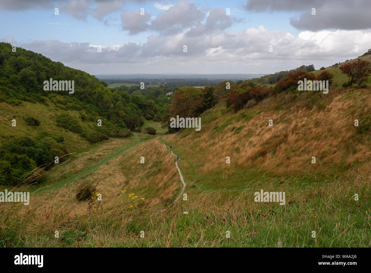 Devil's Dyke, South Downs, West Sussex, Reino Unido Foto de stock