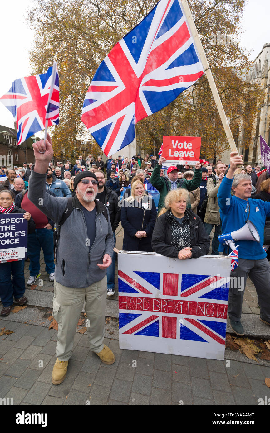 Pro Brexit protesta, fuera de la Cámara de los Comunes, a la marca de los 5 meses desde el Reino Unido votó a favor de abandonar la Unión Europea. Londres, Gran Bretaña. Foto de stock