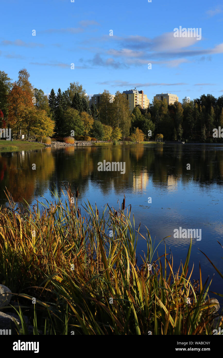 El paisaje del lago Valkeinen ubicado en Kuopio, Finlandia. Usted puede ver el amarillo y verde de los árboles durante otoño / otoño y pequeñas nubes. Foto de stock