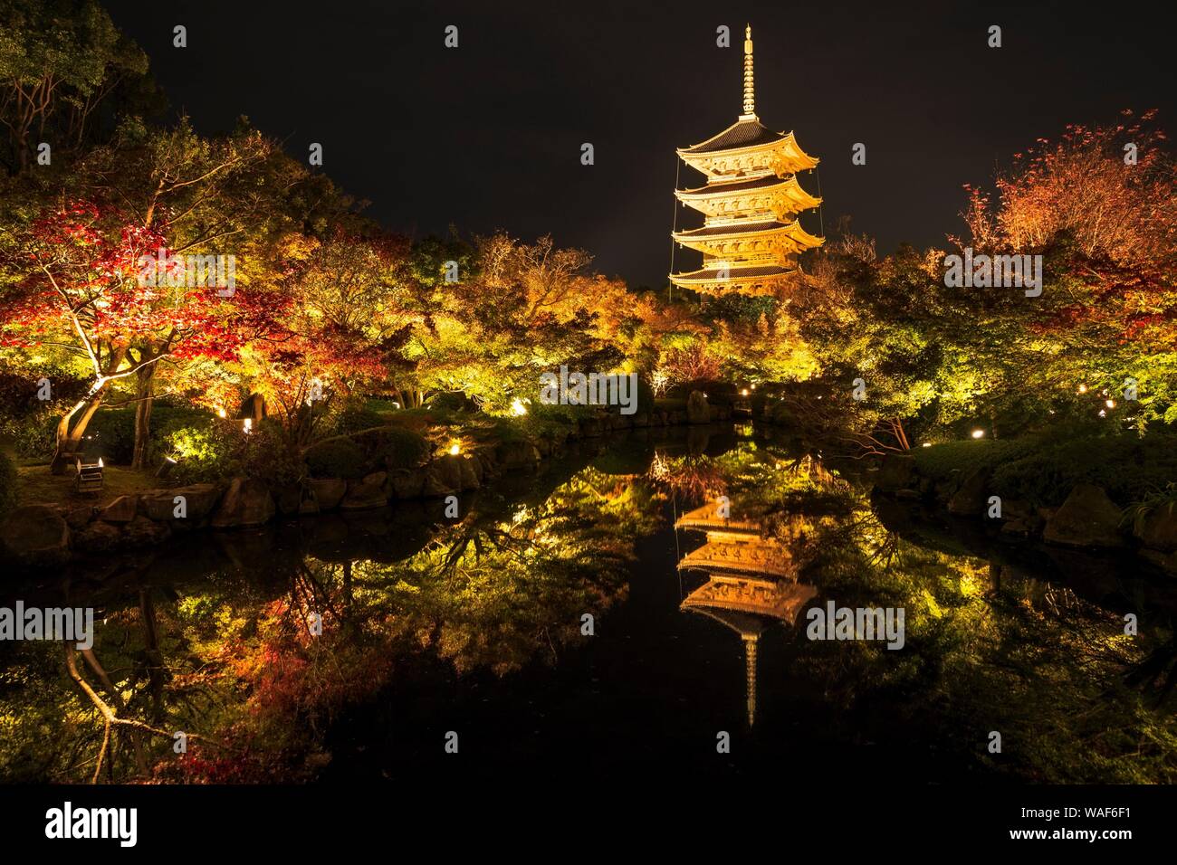 La pagoda de cinco pisos del templo Toji con el otoño colorido, iluminado en la noche, Kyoto, Japón Foto de stock