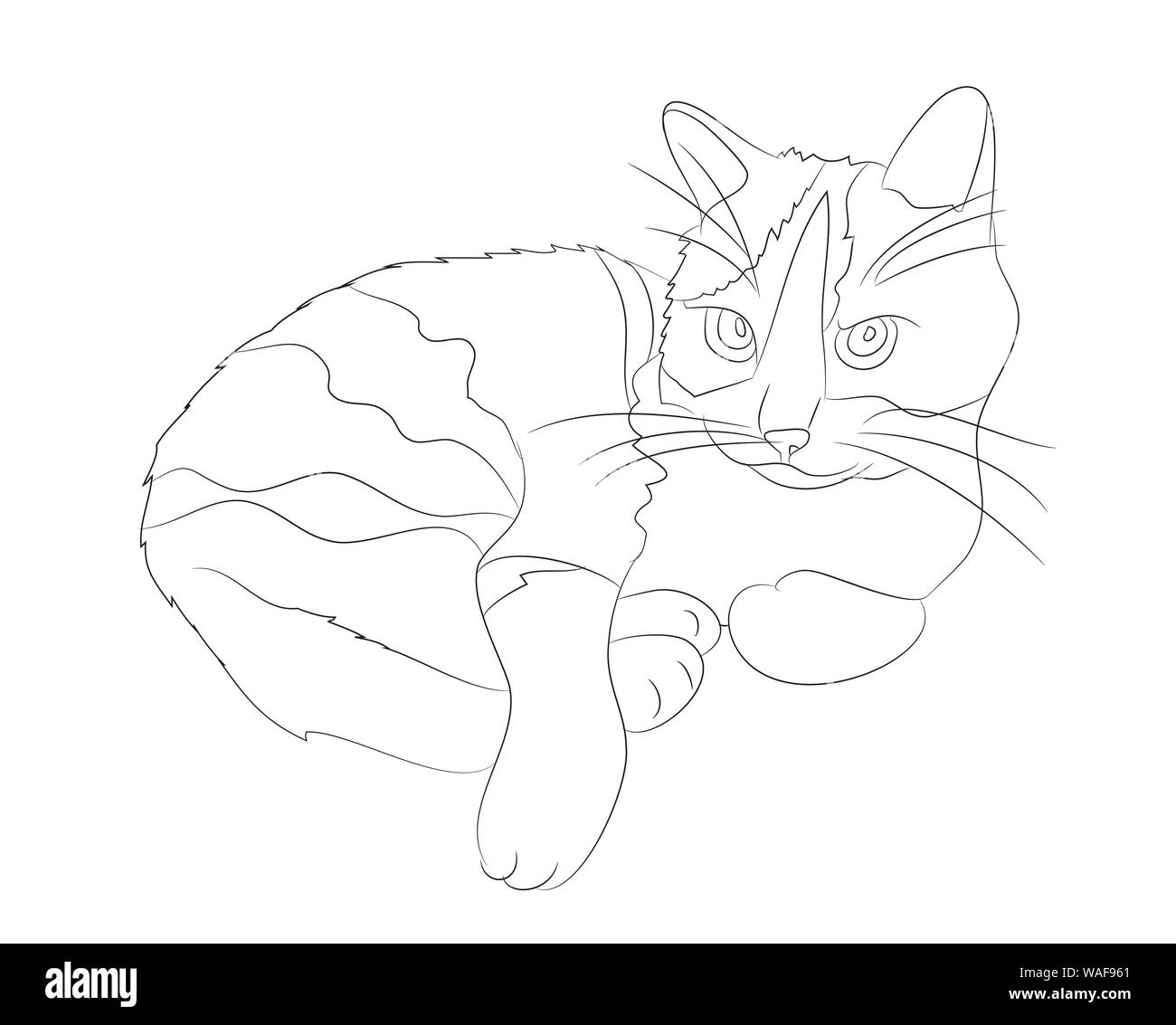 Gato tumbado dibujar líneas, vectores, fondo blanco Imagen Vector de