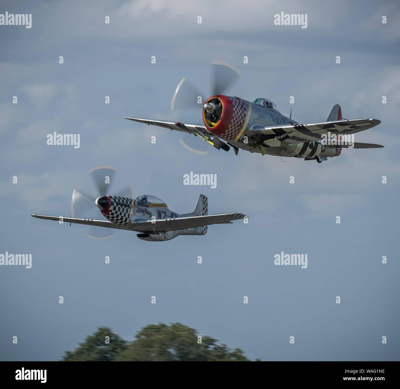 P-51D Mustang P47 y la República Thuderbolt Guerra Mundial Dos aviones de combate en el cielo Foto de stock