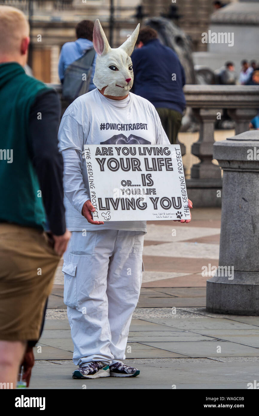 Dwight Conejo presenta un mensaje desde el proyecto de plántulas en Trafalgar Square en el centro de Londres Foto de stock