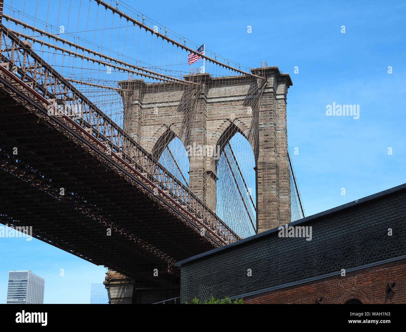 tiempo brooklyn