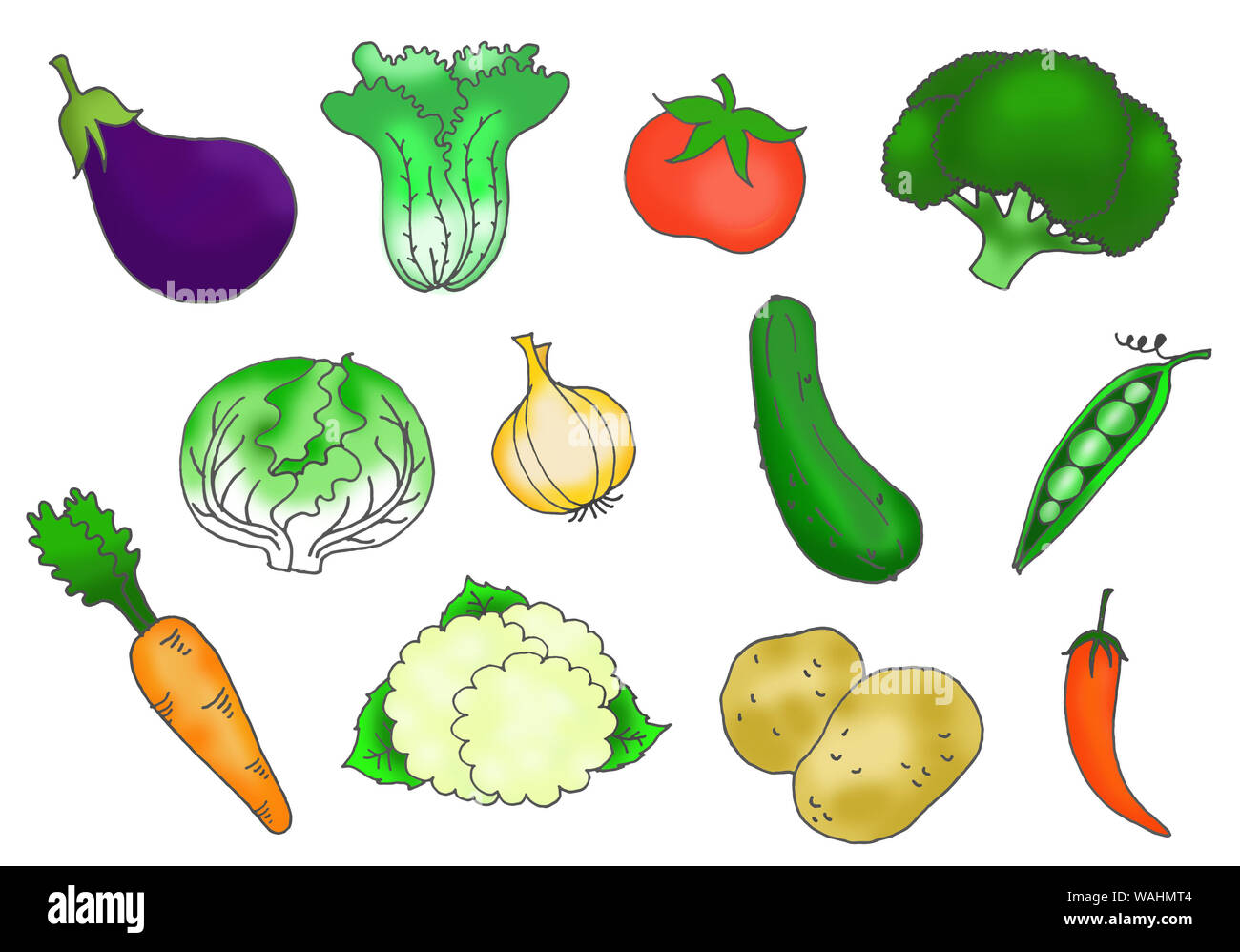 Vectores Colección mano draw de verduras Fotografía de stock Alamy