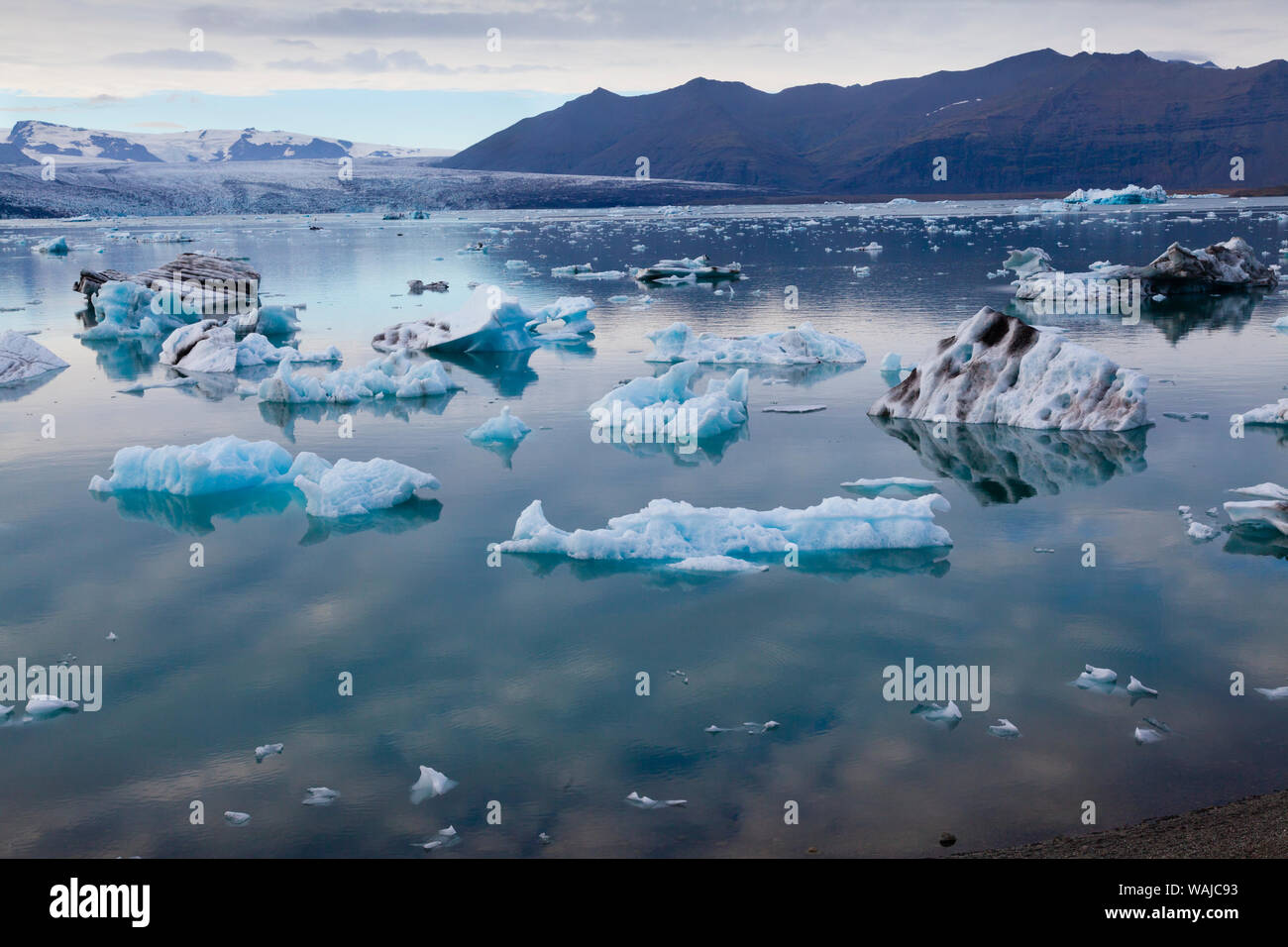 Islandia, icebergs en Jokulsarlon lagoon Foto de stock