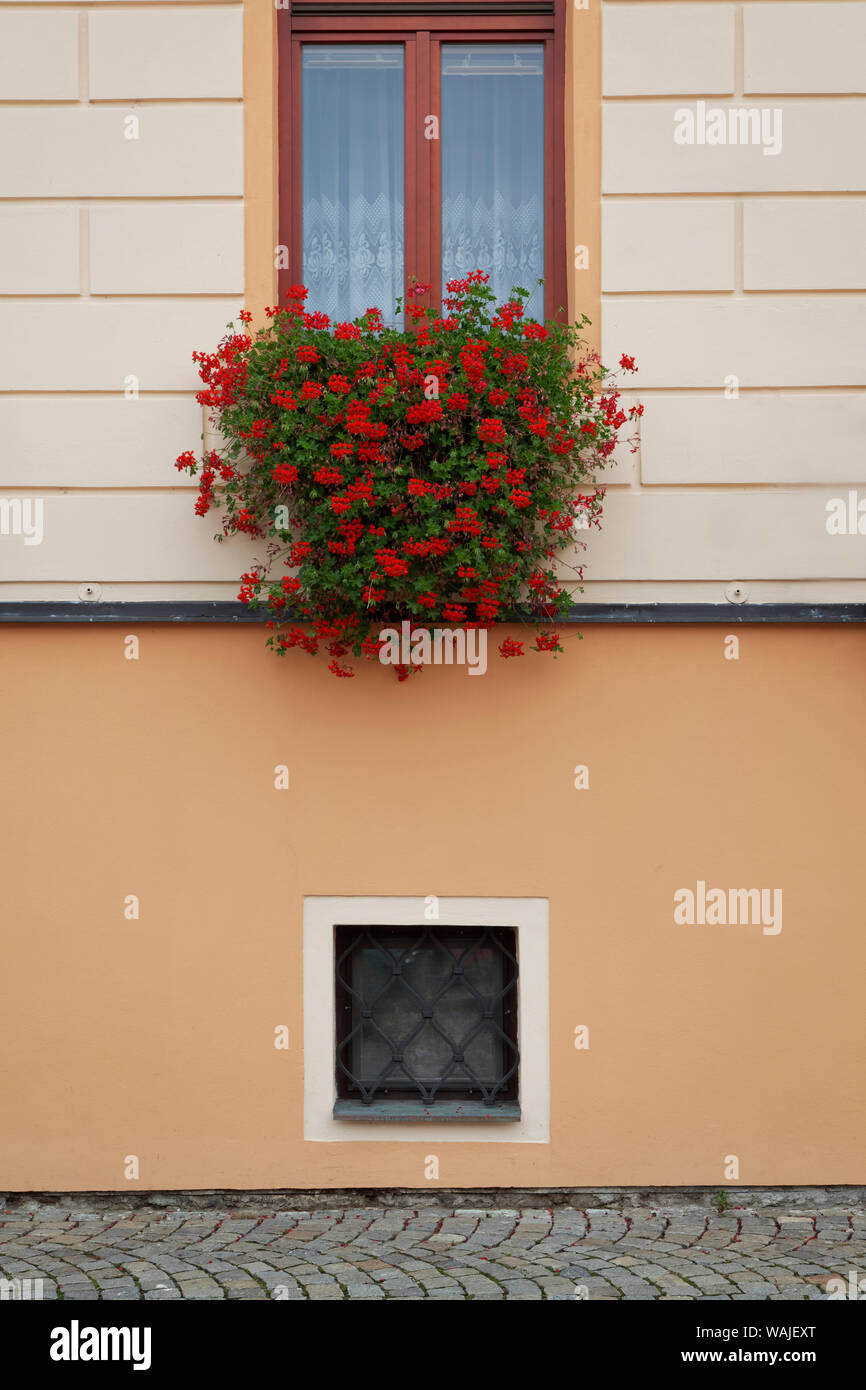 Europa, República Checa Krumlov Czeky. Ventana con maceta de flores. El crédito como: Dennis Flaherty / Galería / DanitaDelimont.com Jaynes Foto de stock