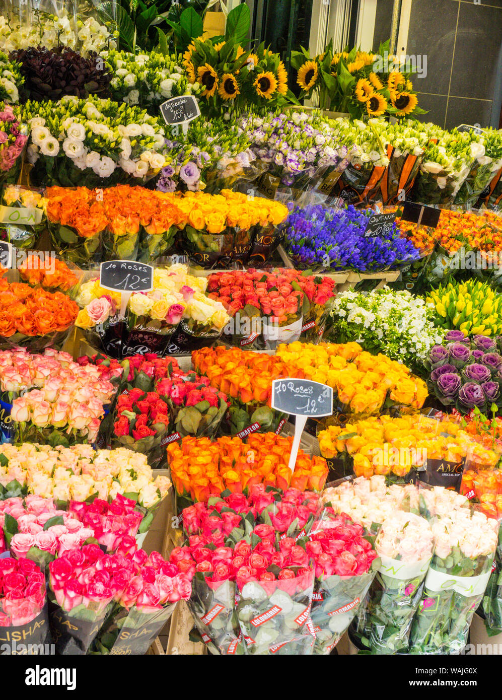Mercado de flores de paris fotografías e imágenes de alta resolución