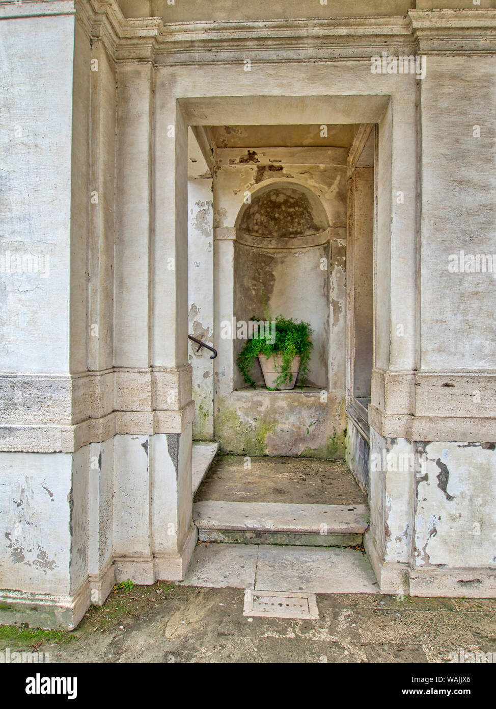Italia, Lazio, Tivoli, Villa d'Este. Una planta en maceta en un pequeño arco esculpido por debajo de las escaleras. Foto de stock