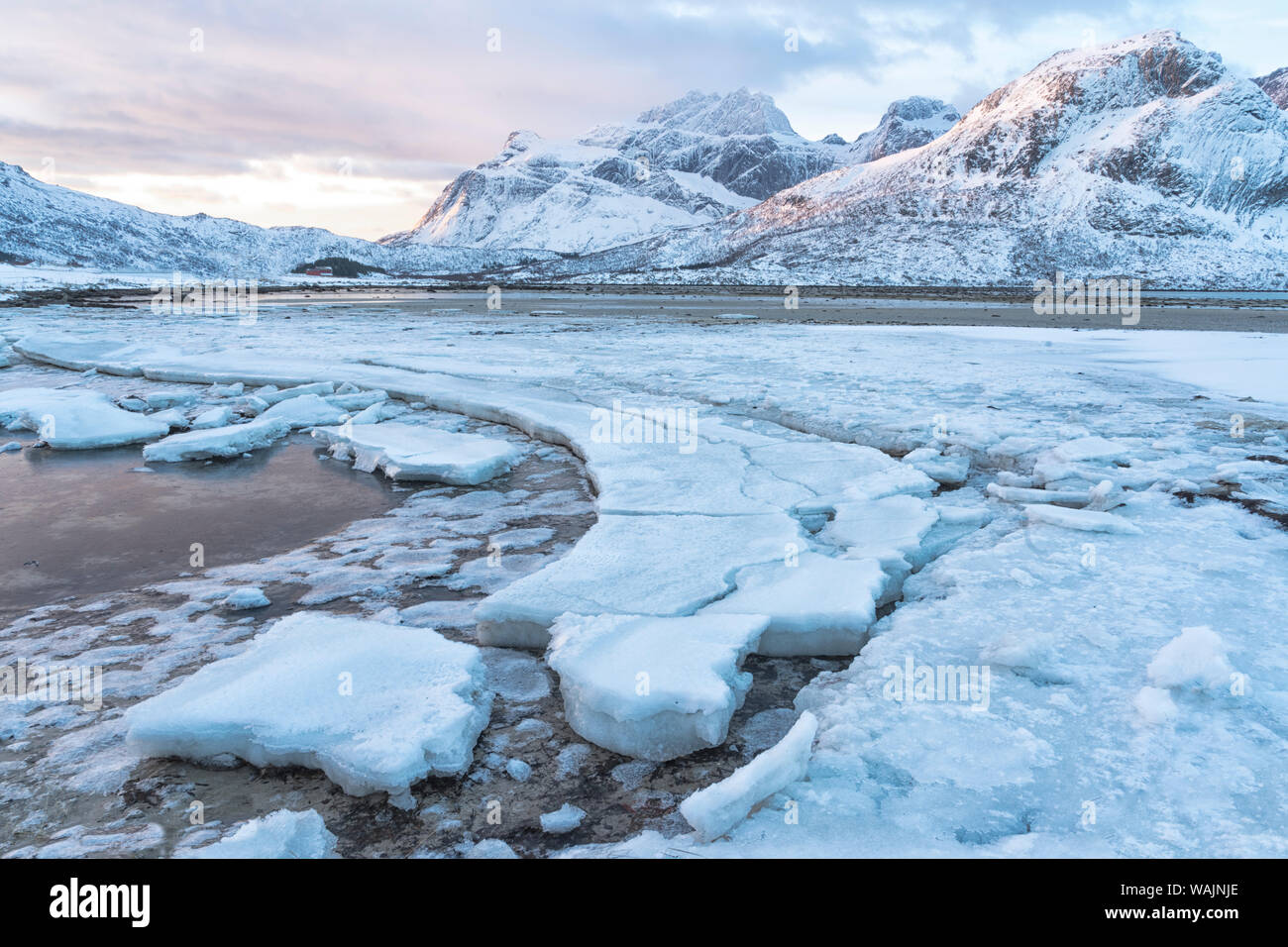 Noruega, Islas Lofoten, Vestvag Isla, Leknes. Bloques de hielo derritiendo junto al borde de un lago congelado crear patrones en primer plano. Foto de stock